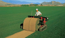 Load image into Gallery viewer, Bluegrass Ryegrass Sod on Sandy Loam - Native Lawn Delivery