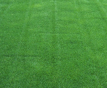 Load image into Gallery viewer, ball park sod cost