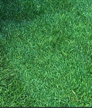 Load image into Gallery viewer, bayside sod bluegrass with ryegrass