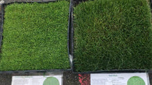 Load image into Gallery viewer, California Native Bentgrass - Native Lawn Delivery