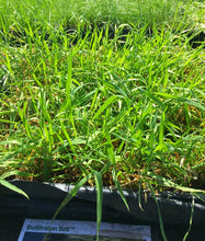 Load image into Gallery viewer, California Native Biofiltration Grass - Native Lawn Delivery
