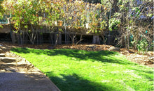 Load image into Gallery viewer, blue ridge sod