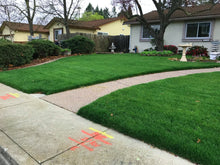 Load image into Gallery viewer, bluegrass ryegrass sod blend