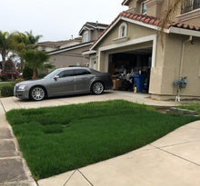 Load image into Gallery viewer, Kentucky bluegrass ryegrass sod