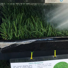 Load image into Gallery viewer, bluegrass sod farm near me
