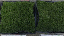 Load image into Gallery viewer, bluegrass sod vs shade blend sod