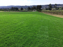 Load image into Gallery viewer, blueridge sod no plastic