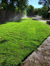 Load image into Gallery viewer, blue-rye sod blueridge