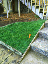 Load image into Gallery viewer, bluegrass ryegrass sod