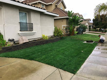 Load image into Gallery viewer, bluerye sod 5050 mix