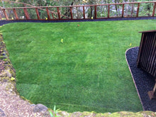 Load image into Gallery viewer, bluerye install in shady area