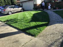 Load image into Gallery viewer, bluerye grass seed