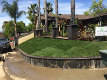 Load image into Gallery viewer, Delta Bluegrass mix