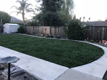 Load image into Gallery viewer, bolero plus fescue seed