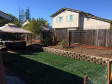 Load image into Gallery viewer, bolero plus sod dwarf fescue with bluegrass