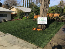 Load image into Gallery viewer, bolero plus sod