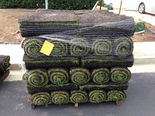 Load image into Gallery viewer, bolero plus sod pallet