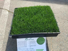 Load image into Gallery viewer, bolero sod dwarf fescue