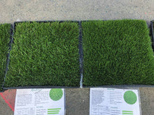 Load image into Gallery viewer, dwarf fescue vs bluegrass