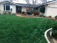 Load image into Gallery viewer, bolero plus sod and seed