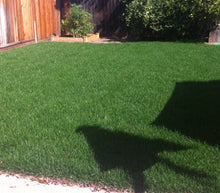 Load image into Gallery viewer, bonsai double dwarf fescue