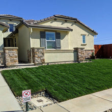 Load image into Gallery viewer, bonsai double dwarf fescue grass