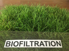 Load image into Gallery viewer, delta california native biofiltration sod