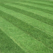 Load image into Gallery viewer, celebration bermuda grass sod