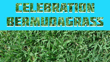 Load image into Gallery viewer, celebration bermudagrass sod