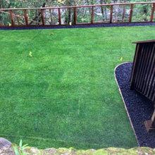 Load image into Gallery viewer, Kentucky Bluegrass Seed - Native Lawn Delivery