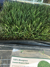 Load image into Gallery viewer, Delta Bluegrass