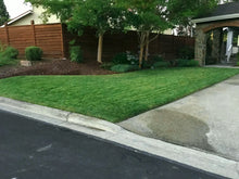 Load image into Gallery viewer, delta tall fescue sod 9010