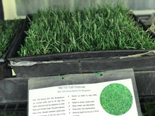 Load image into Gallery viewer, delta tall fescue sod