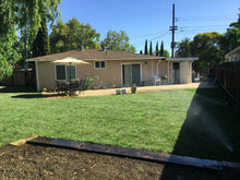 Load image into Gallery viewer, delta tall fescue with bluegrass