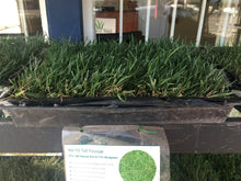 Load image into Gallery viewer, delta tall fescue mix 9010 sod