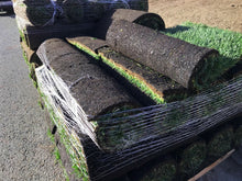 Load image into Gallery viewer, Delta Tall 9010