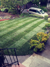 Load image into Gallery viewer, drought tolerant fescue sod and seed