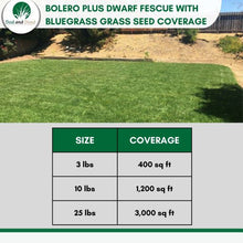Load image into Gallery viewer, bolero plus grass seed