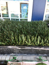 Load image into Gallery viewer, Bolero 100 percent dwarf fescue