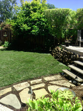 Load image into Gallery viewer, elite plus backyard