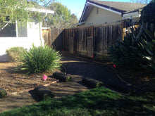 Load image into Gallery viewer, elite plus grass by sod and seed