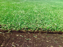 Load image into Gallery viewer, elite plus sod farm