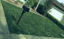 Load image into Gallery viewer, elite plus fescue and bluegrass