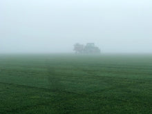 Load image into Gallery viewer, elite plus sod fescue mix