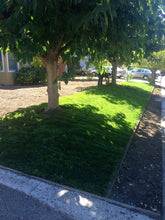 Load image into Gallery viewer, elite plus sod install by sod and seed