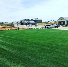 Load image into Gallery viewer, Drought tolerant sod elite plus in public park