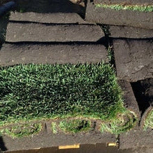 Load image into Gallery viewer, elite plus sod seed
