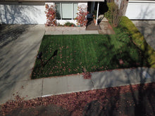 Load image into Gallery viewer, Elite Plus sod