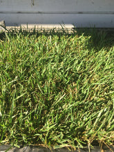 Load image into Gallery viewer, Enduro 90/10 tall fescue with dwarf fescue