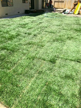 Load image into Gallery viewer, Enduro grass shop